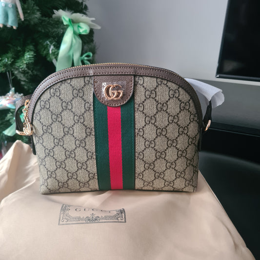 Gucci bag